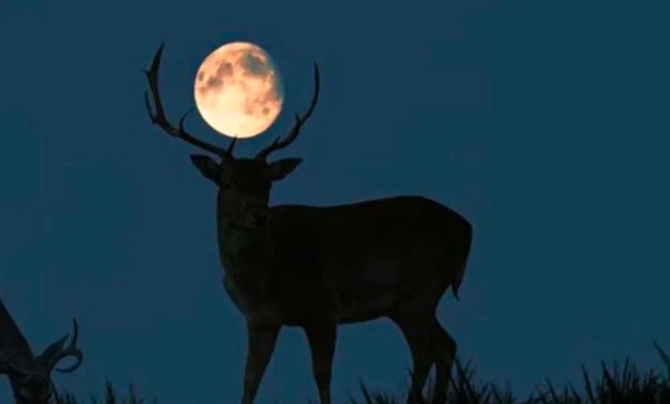 Superluna de ciervo 2022: Por qué se llama así y a qué hora verla | Noticias