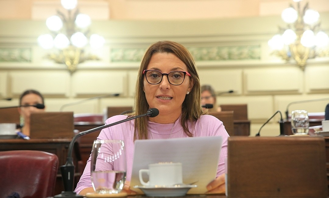 Deuda Nación-Provincia: "Los fondos deben ser de libre disponibilidad para comunas y municipios" | Legislativas