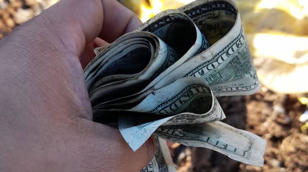 El misterio de los miles de dólares hallados en un basural: el origen del dinero | Noticias