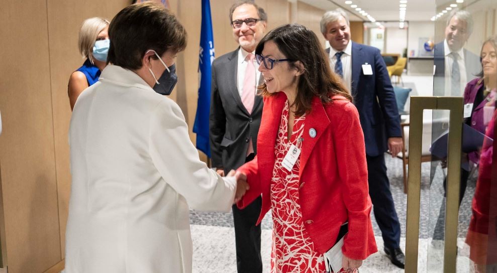 El FMI mantiene proyecciones de crecimiento de la Argentina en 4% | Nacionales