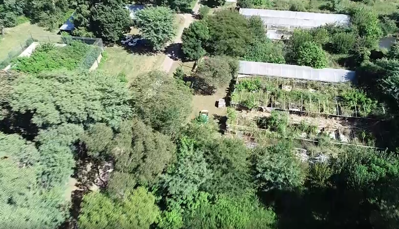 La provincia avanza en el plan de obras para la Granja La Esmeralda | Noticias