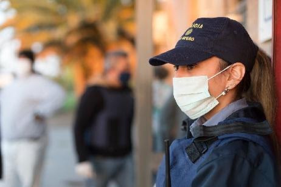 Horror en Cipolletti: perros comían los restos de un bebé desmembrado | Nacionales