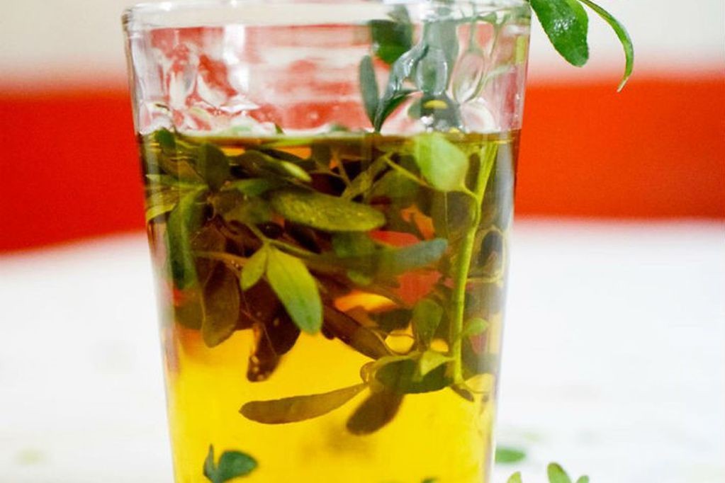 1 de Agosto: ¿por qué se toman tres sorbos de caña con ruda? | Nacionales