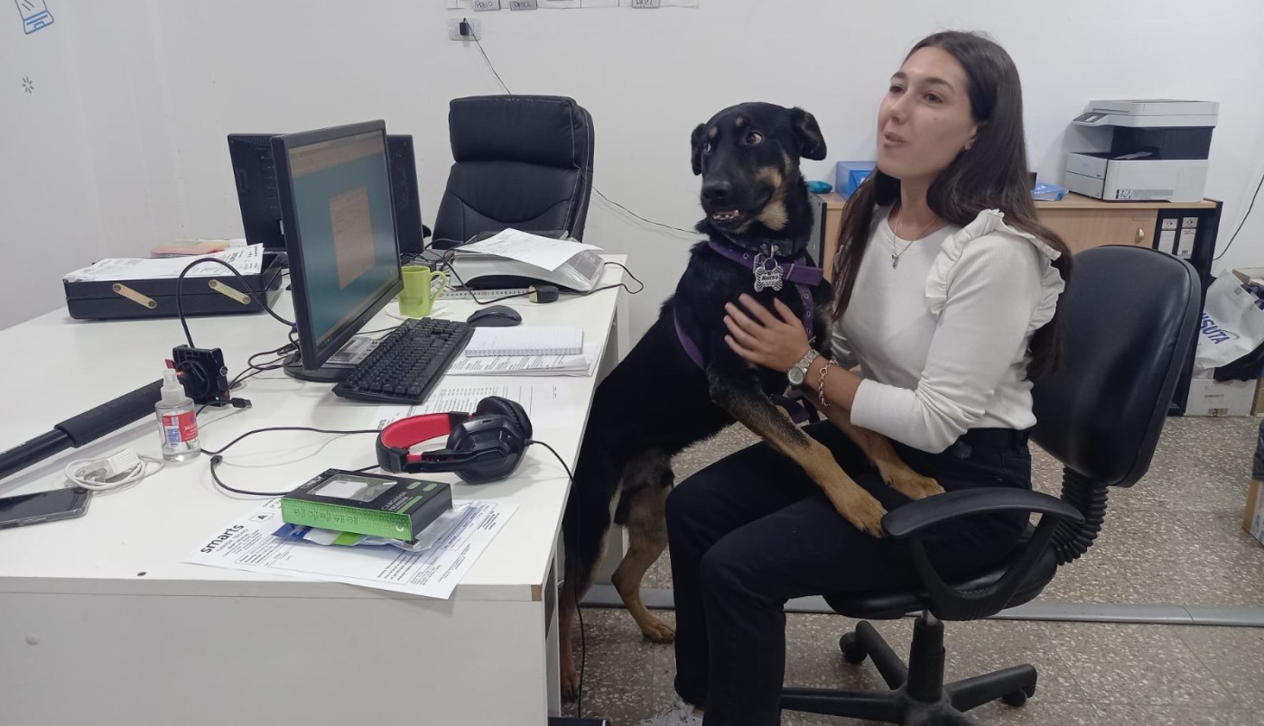 Una empresa de Córdoba permite a sus empleados ir a trabajar con mascotas | Información General