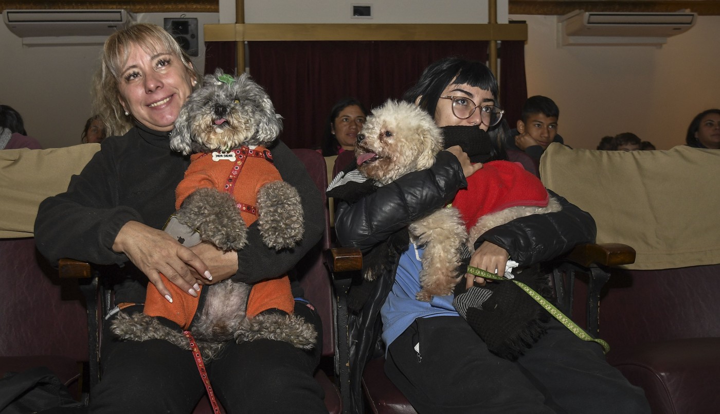 Realizaron en Escobar la primera función de cine para perros de Sudamérica | Nacionales