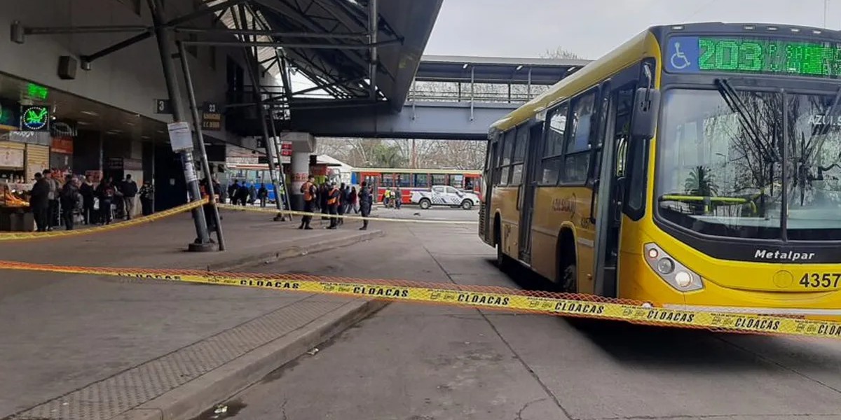 Moreno: tenía 6 años, se le cayó una bolita en la calle, fue a buscarla y murió atropellado por un colectivo | Nacionales