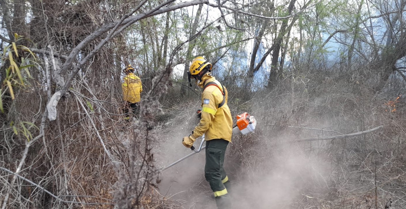 Santa Fe realizó una nueva presentación en la Justicia Federal por los focos ígneos en el Delta del Paraná | Noticias