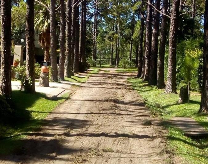 Santo Tomé: el Concejo solicitó a la Defensoría saber cuál el estado del reclamo de los vecinos de El Pinar a la EPE | Legislativas