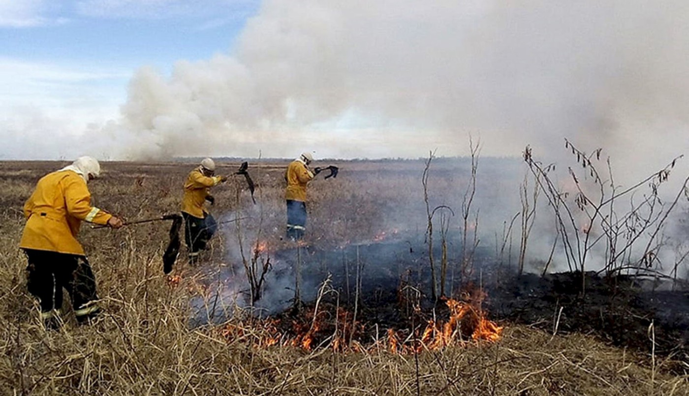 Detuvieron a otra persona por intentar prender fuego en las islas del Paraná | Noticias