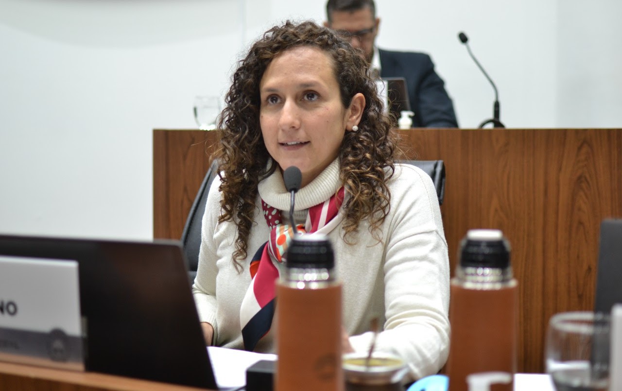 El Concejo Municipal aprobó la suspensión de la actualización del mínimo de la TGI | Legislativas