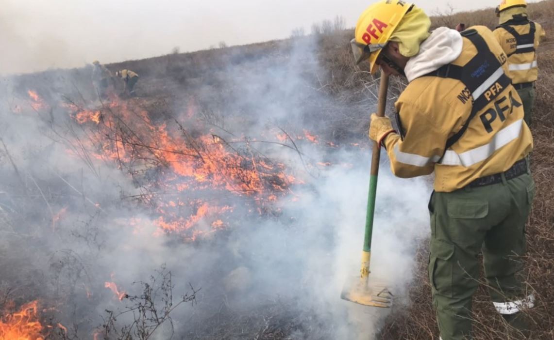 Alberto Fernández lamentó los incendios en el Delta y afirmó: "No vamos a permanecer pasivos" | Nacionales