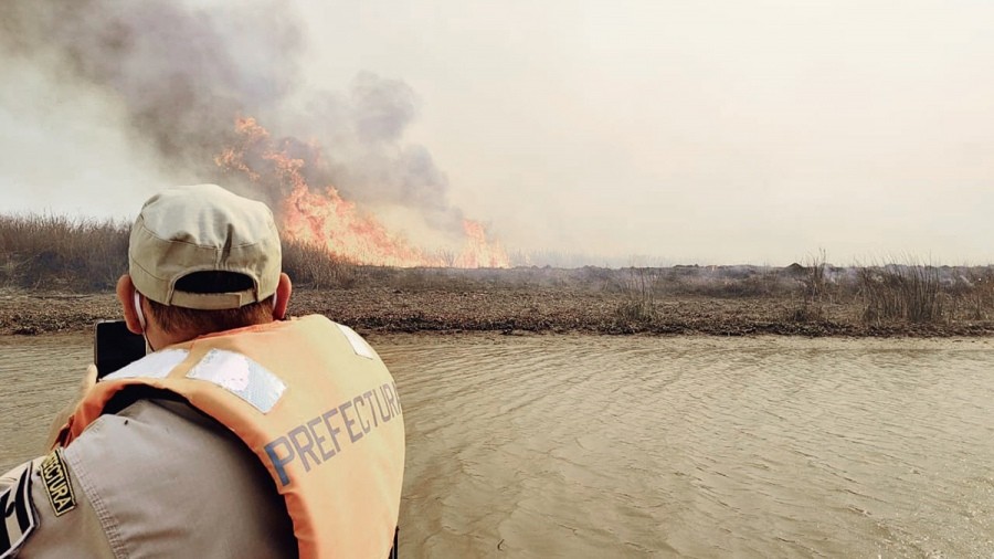 Incendios en el Delta: hay tres detenidos, acusados de iniciar el fuego | Policiales