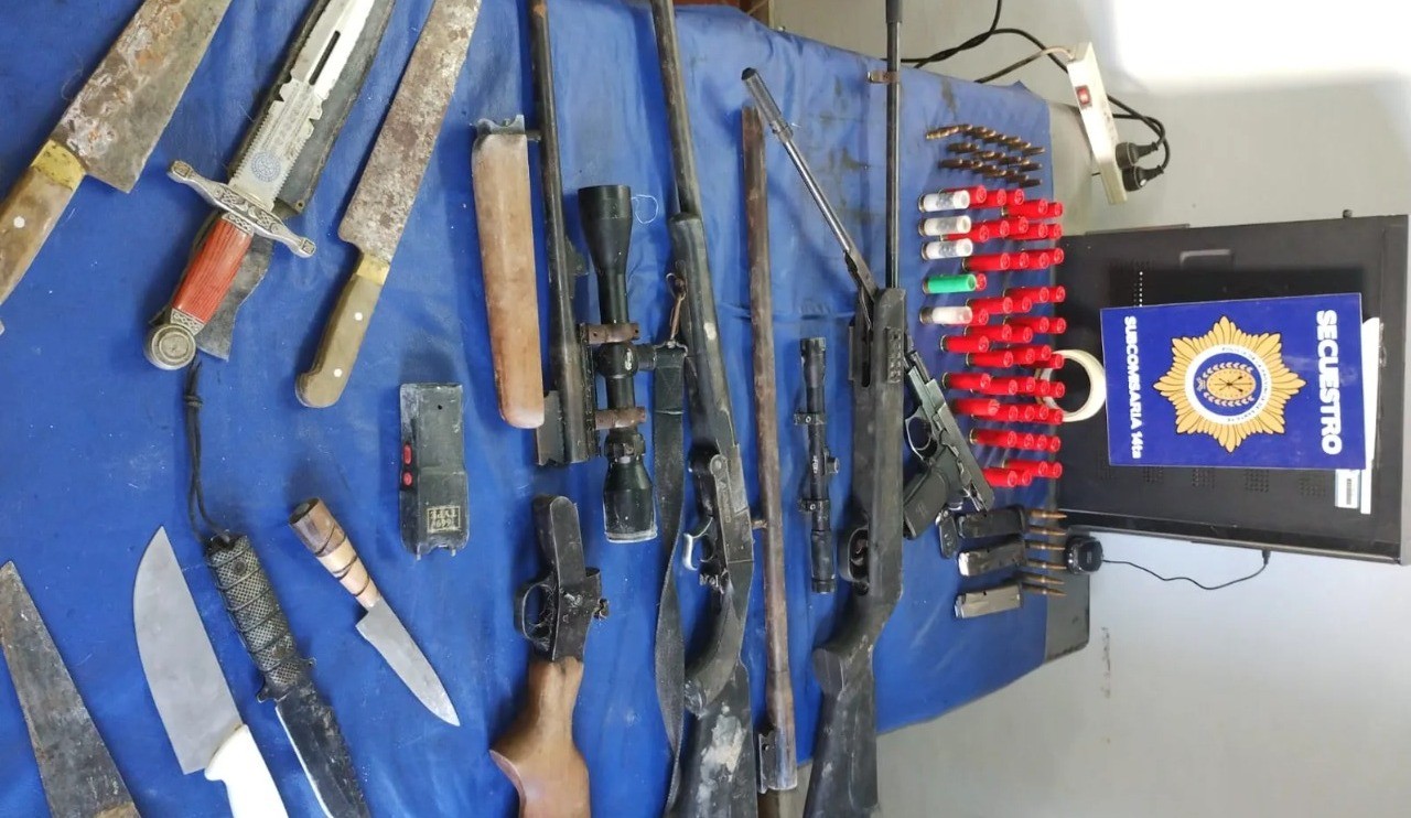 Secuestraron gran cantidad de armas en una vivienda de Loyola Norte | Policiales