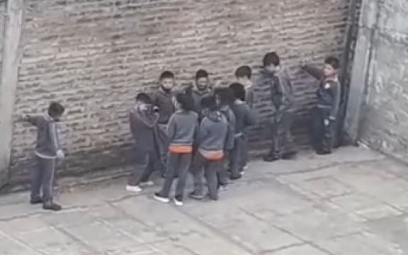 Un 0800 para denunciar casos de bullying en escuelas | Nacionales