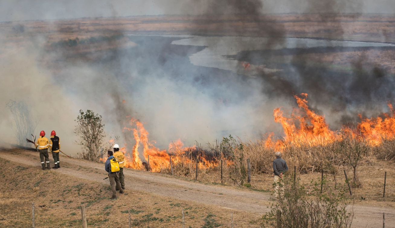 Ante la quema de pastizales, la Municipalidad emitió recomendaciones | Noticias