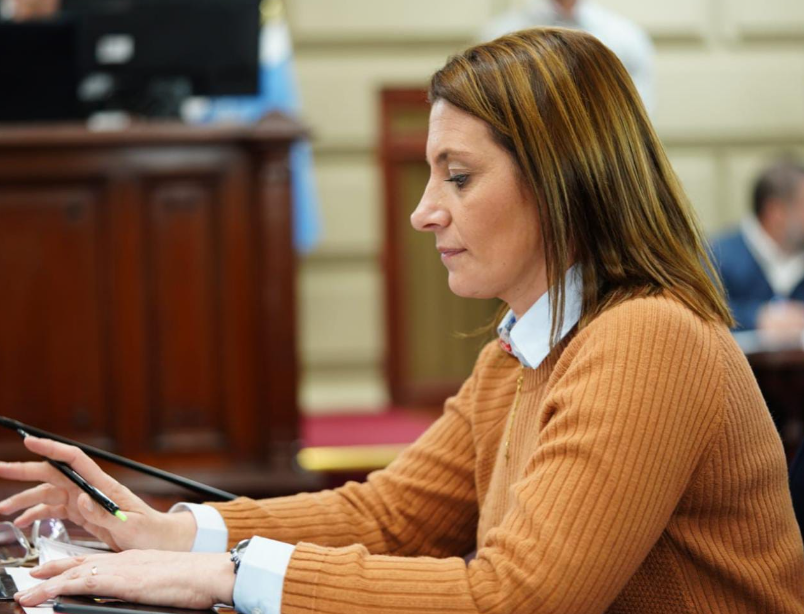 Florito: "Fue un grave error utilizar el feriado para un acto kirchnerista" | Legislativas