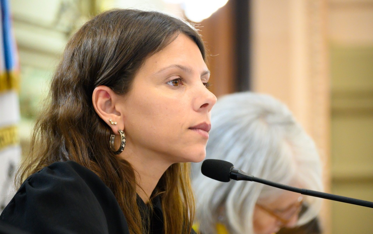 Gisel Mahmud: “Lo del gobierno provincial con los deliverys es parche sobre parche” | Legislativas