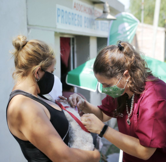 En la ciudad continúa la campaña de vacunación antirrábica | Información General