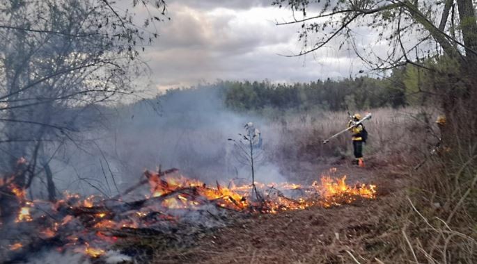 Incendios en las islas: Intendentes santafesinos protestarán en el Obelisco | Noticias