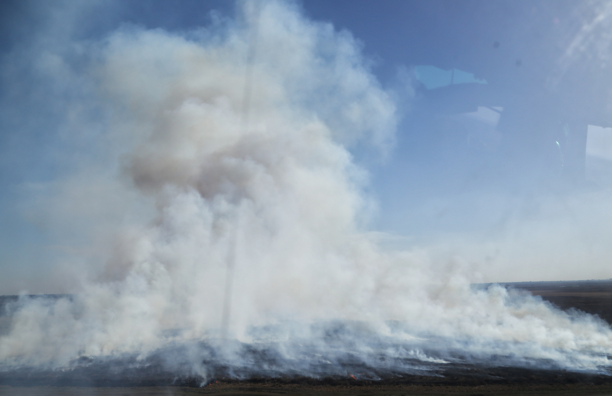 Gonnet y el jefe de las Fuerzas Armadas sobrevolaron la zona de incendios en el Delta | Noticias