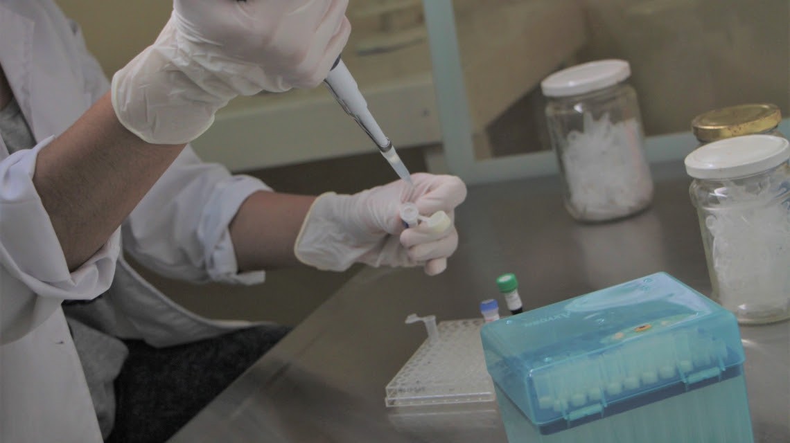 Control y Erradicación de Tuberculosis Bovina:  Avanza la vigilancia epidemiológica de muestras de leche | Noticias