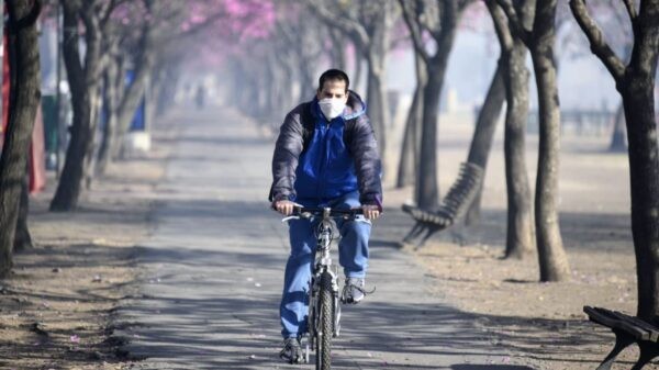 Por el humo de los incendios, enviarán 500.000 barbijos a Santa Fe | Noticias