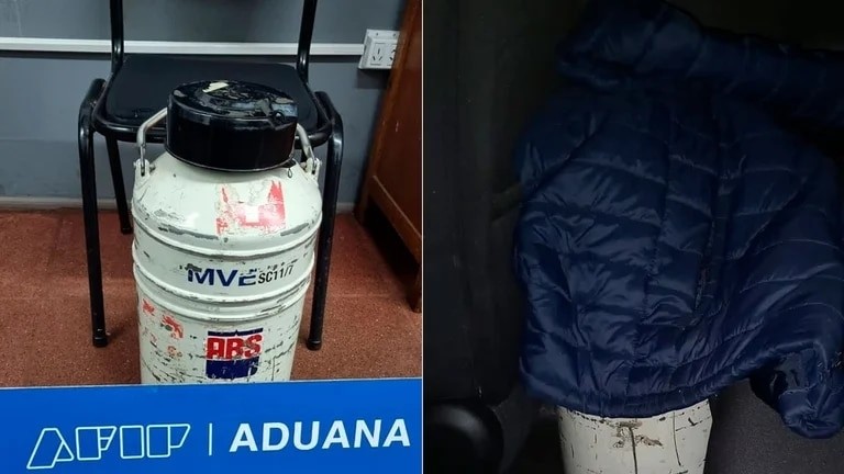 Contrabando: la Aduana secuestró un recipiente con semen de toro valuado en US$ 500.000 | Nacionales