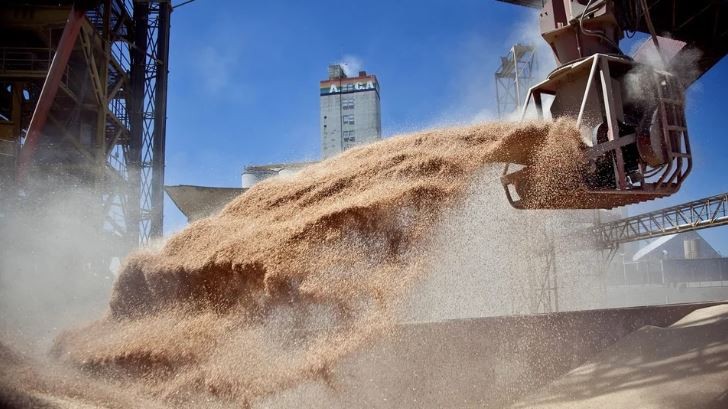 "Dólar soja": los exportadores ya liquidaron más de US$ 5.000 millones | Nacionales