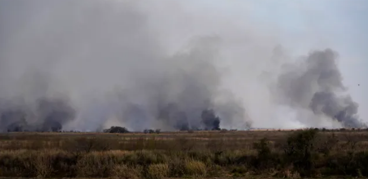 Malestar de ambientalistas al no tratarse la Ley de Humedales | Legislativas