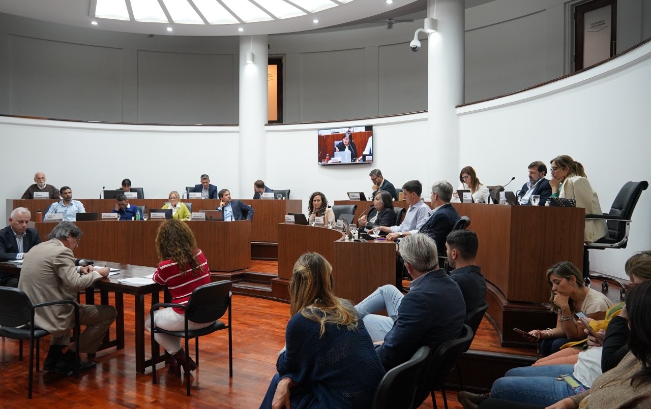 Por unanimidad el Concejo manifestó su repudio por los audios de Marcelo Saín | Legislativas
