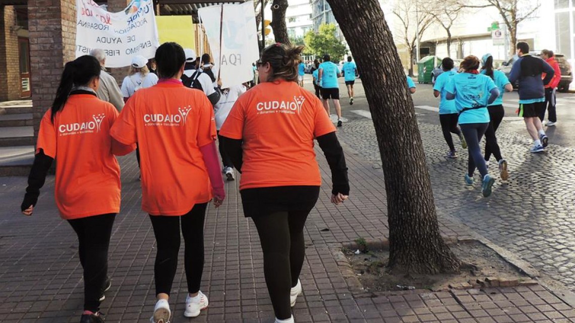 Santa Fe aportó el 11,5% de los órganos trasplantados en el país | Noticias