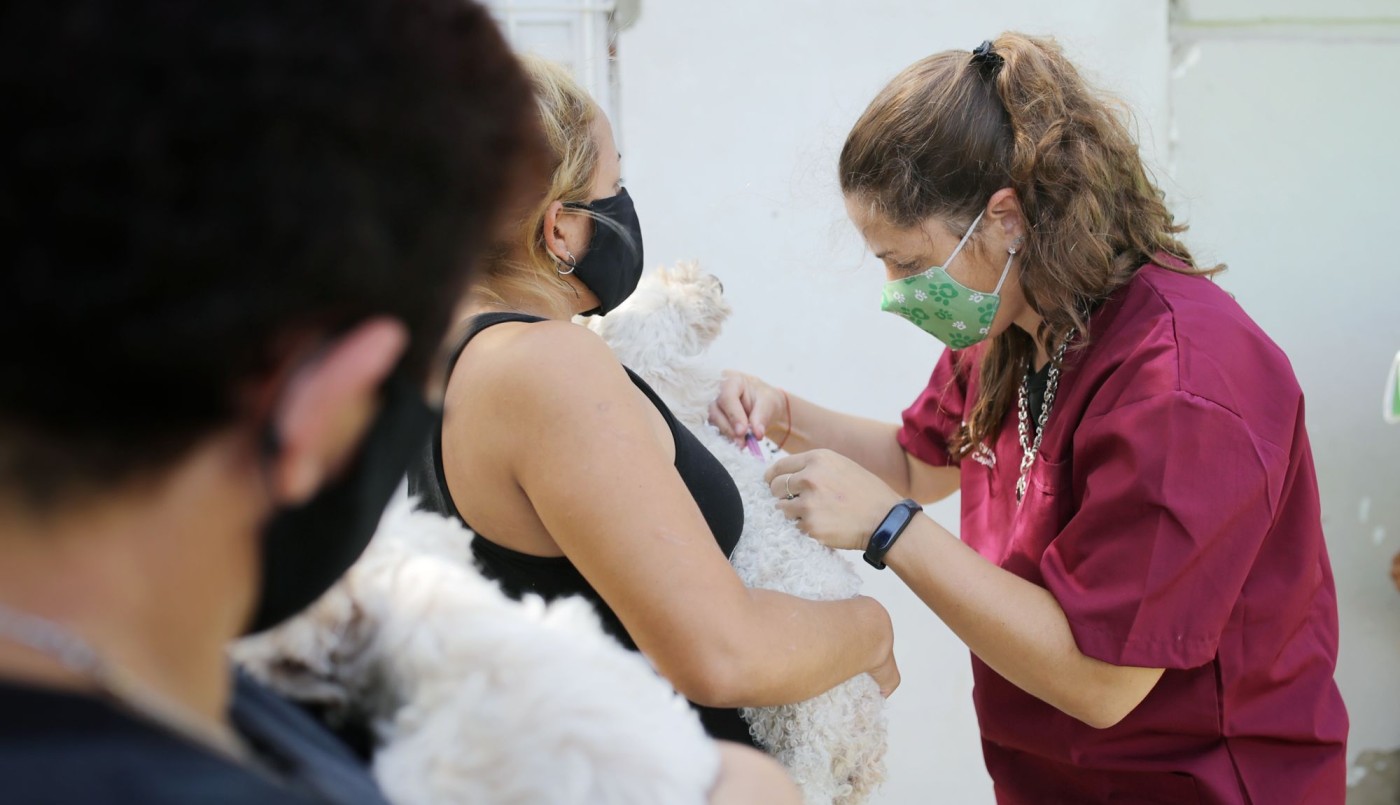 Castración de animales de compañía, bacheo e iluminación previstos para hoy | Información General