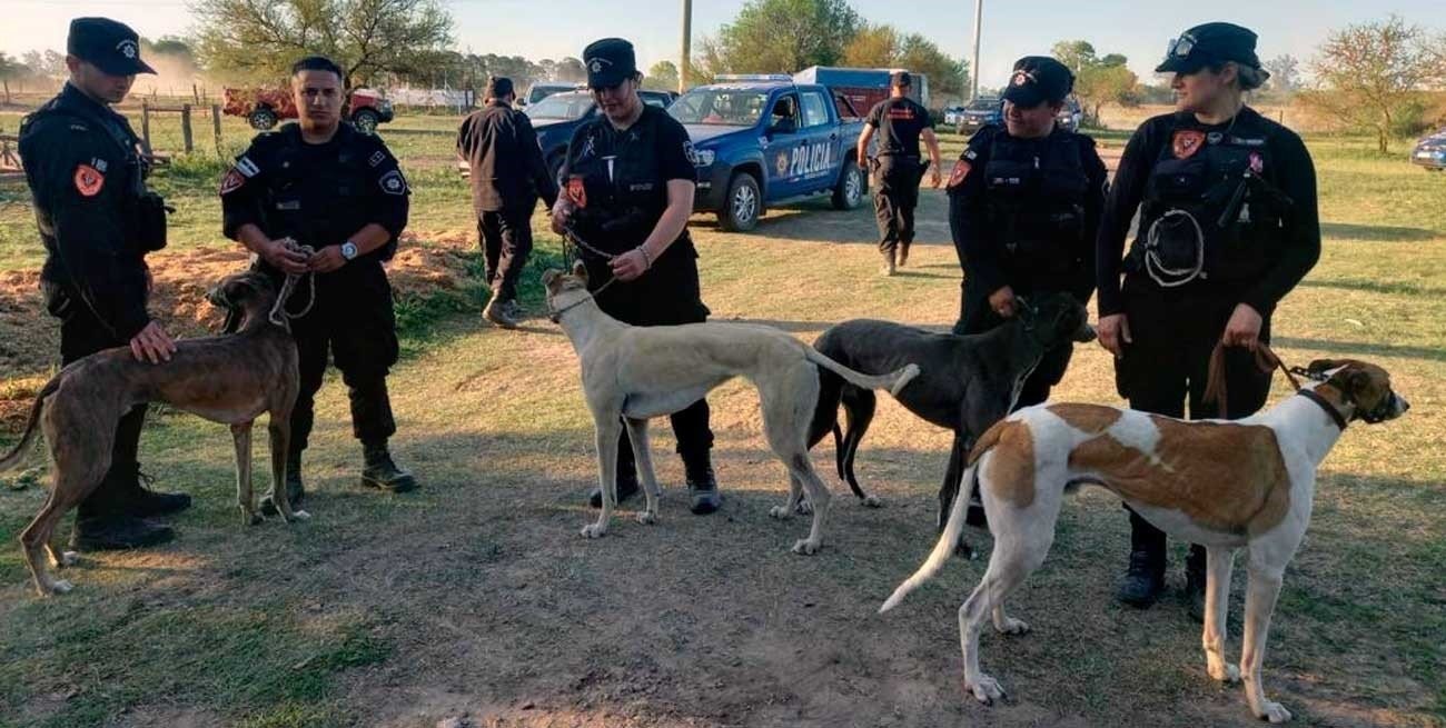 Imputaron al organizador de las carreras clandestinas de galgos | Judiciales