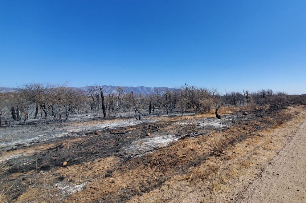 Murió un menor de edad que intentaba apagar un incendio forestal en Calamuchita | Nacionales