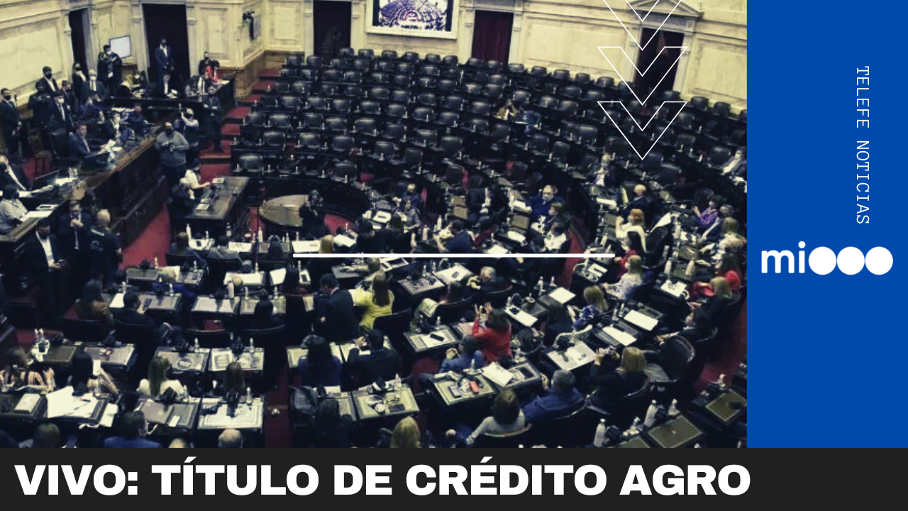 Diputados trabaja en la creación de Título de Crédito Agropecuario | Legislativas