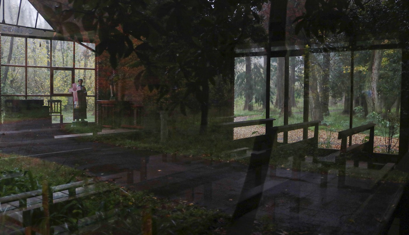 Una fotógrafa retrató los restos de la Fundación Felices los Niños como un "bosque abandonado" | Nacionales