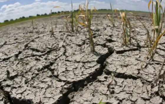 Santa Fe es una de las zonas más comprometidas por la sequía | Noticias