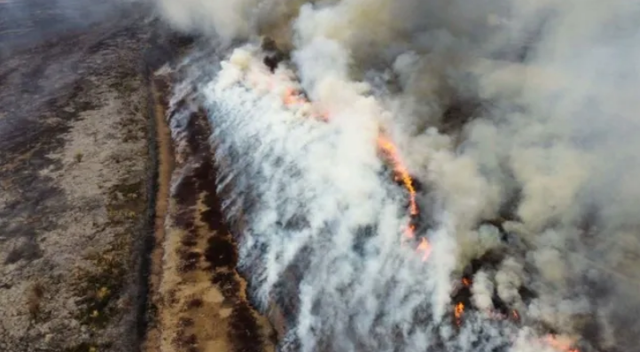 Denuncia penal por la construcción de terraplenes en las islas del Paraná | Noticias