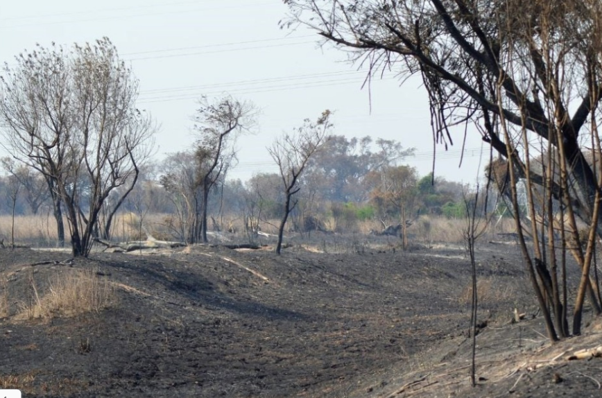 Diputados retoman el debate por la Ley de Humedales | Legislativas