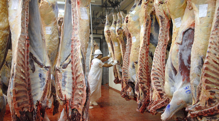 Fin de la media res: Postergan por 75 días la entrada en vigencia del troceo | Noticias