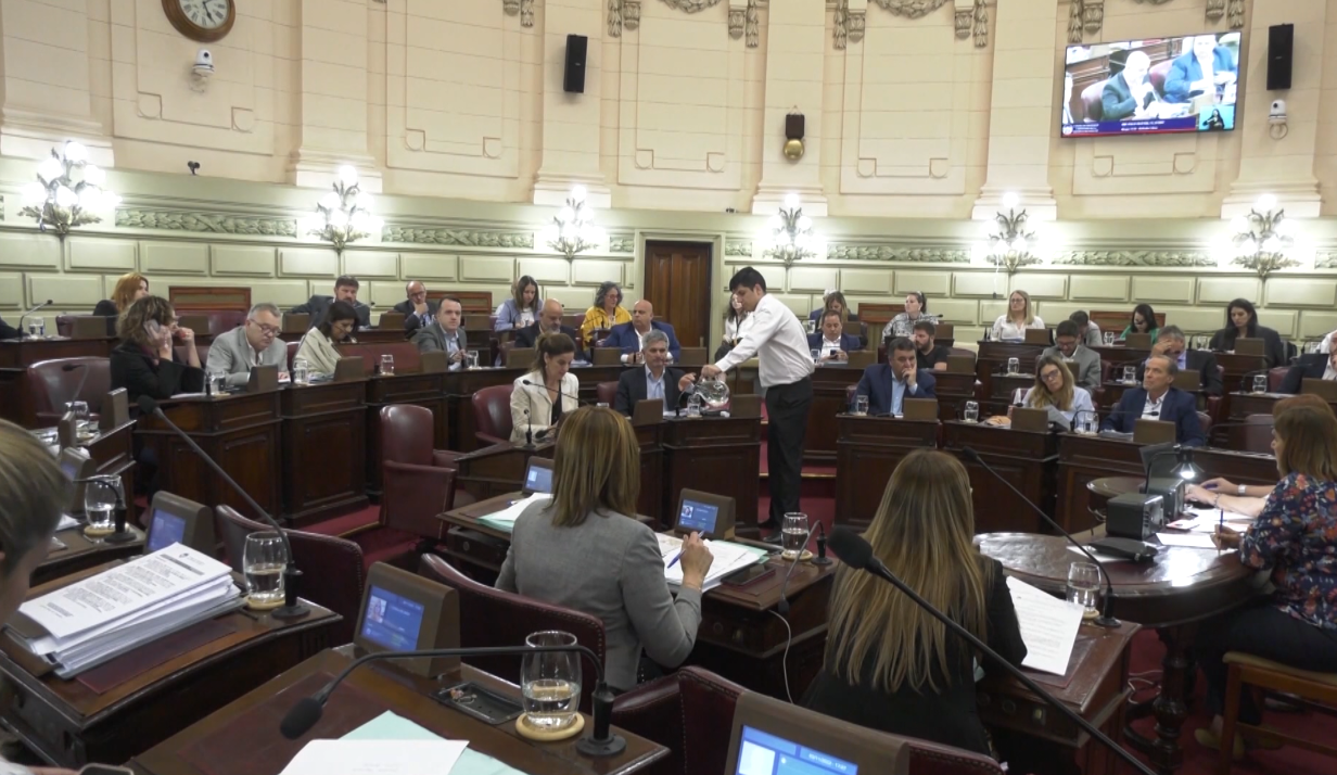 Aprobaron por unanimidad la nueva Ley de Protección a las víctimas del delito | Legislativas