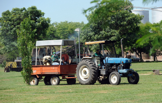 Invasión de mosquitos: Hoy comienzan a fumigar en la ciudad | Noticias