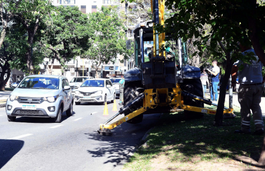 Cuáles serían las causas del hundimiento en Boulevard al 1600 | Noticias