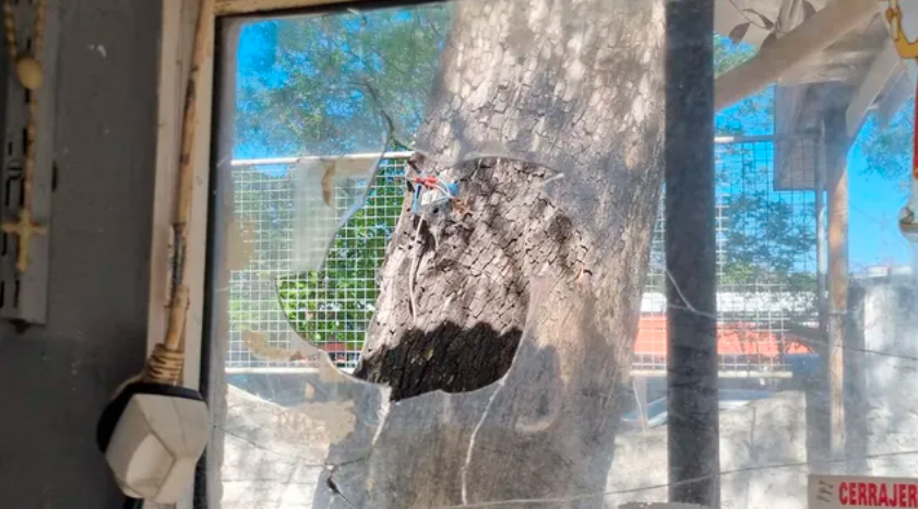 Comerciantes de la zona de la Terminal denuncian agresiones y amenazas de los trapitos | Noticias