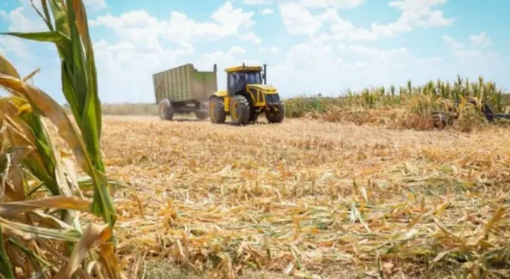 Por la sequía, piden que declaren a Santa Fe en estado de "emergencia y desastre" | Noticias
