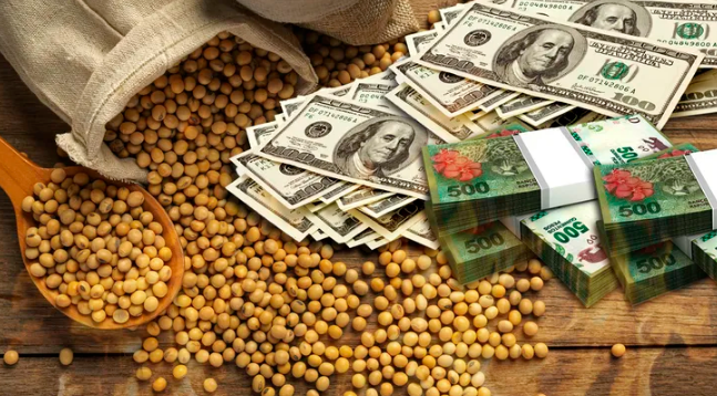 Con la publicación del decreto, comenzó a regir el nuevo “dólar soja” | Noticias