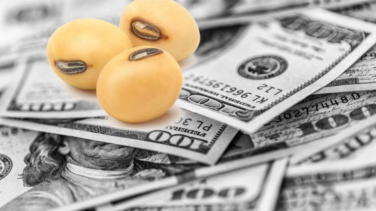 El Gobierno estima que el "dólar soja" llevará a US$10.000 millones de reservas | Nacionales
