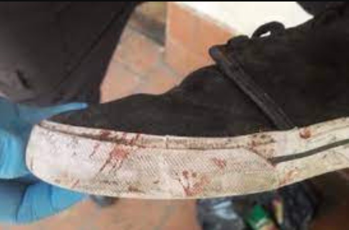 El crimen de Báez Sosa: la zapatilla de Thomsen, en el centro de atención | Nacionales