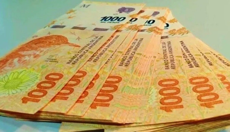 Como acceder a los prestamos vigentes que otorga la Anses de hasta $240.000 | Información General