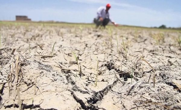 Aumenta el riesgo de sequía: 175 millones de hectáreas en peligro | Noticias